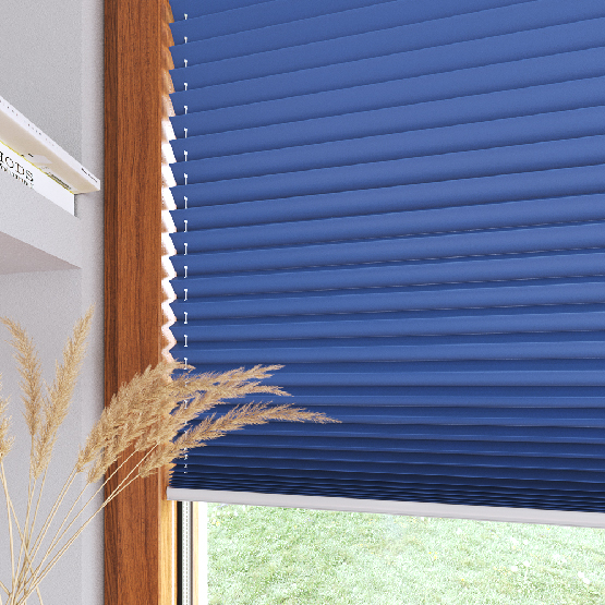 Pleated blinds