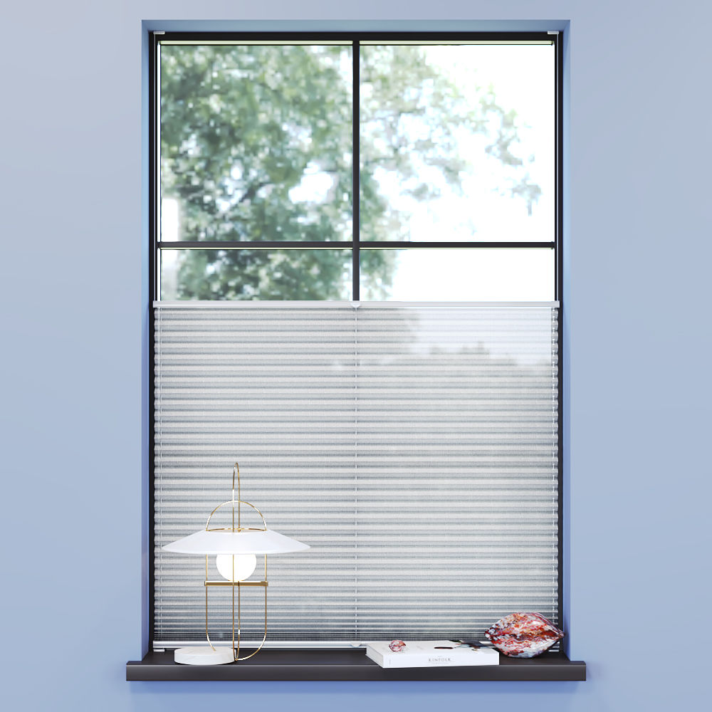 Transparent Premium Pleated Blind, Ines White