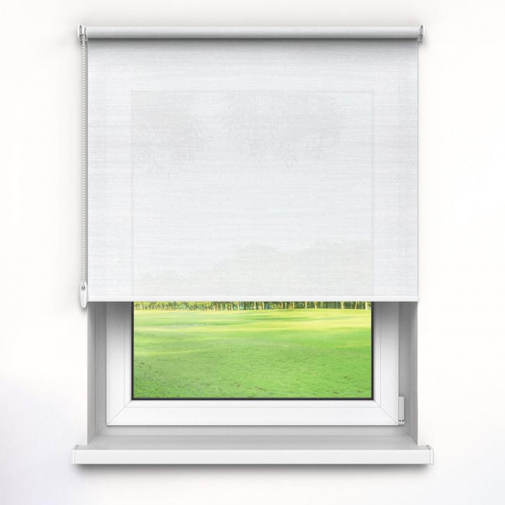 Transparent Premium Roller Blind