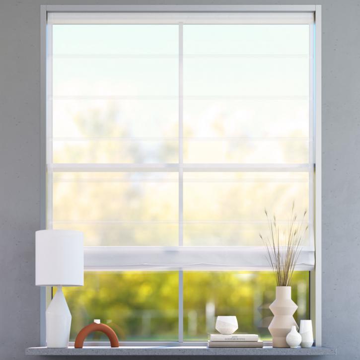 Transparent Premium Roman Blind