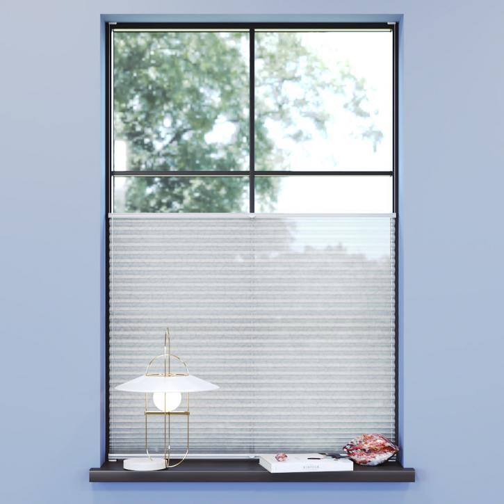 Transparent Premium Pleated Blind